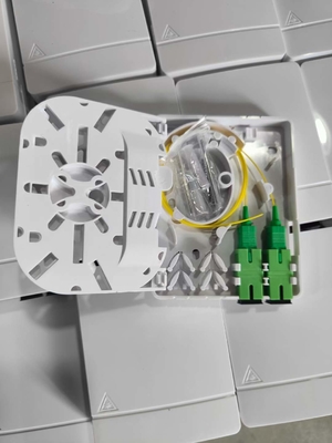Wandmontage FTTH Mini Fiber Optic Socket Panel Box met 2 poorten en SC/APC Pigtail
