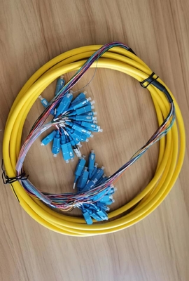24 Core SC/UPC Pre-terminated Patch Cord met maximaal installeerbaar tray nummer 1 Splice Tray